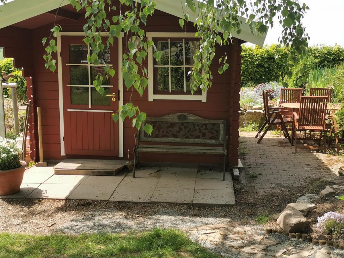 Apartament Lavendelmond Ferien Struchtrup Zewnętrze zdjęcie